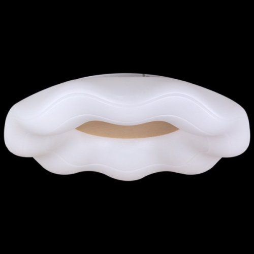 Потолочный светильник Reluce 01029-0.3-01 WOOD