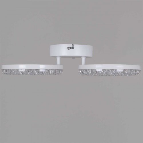 Потолочный светильник Reluce 09847-0.3-02A WH