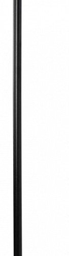 Настенный светодиодный светильник Loft IT Rays 10055BK Настенный светодиодный светильник Loft IT Rays 10055BK