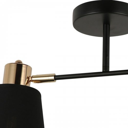 Спот Illumico IL6116-2COU-79 BK GD Спот Illumico IL6116-2COU-79 BK GD