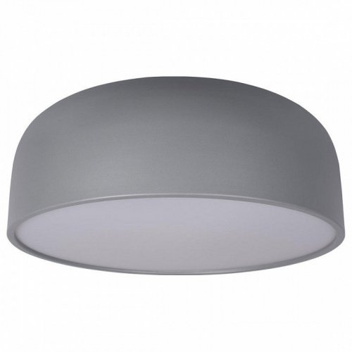 Потолочный светильник Loft IT Axel 10201/480 Grey Потолочный светильник Loft IT Axel 10201/480 Grey