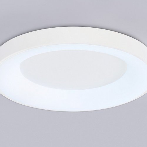 Потолочный светодиодный светильник Ambrella light Orbital Design FZ1401