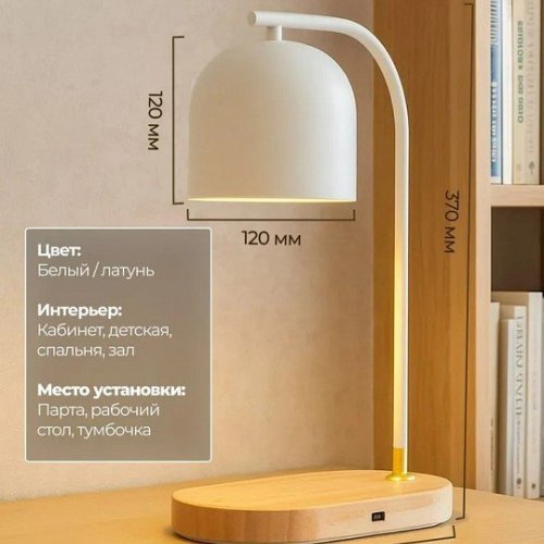 Интерьерная настольная лампа Zortes Desklight ZRS.1066.02