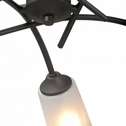 Потолочная люстра V2850-1/5PL