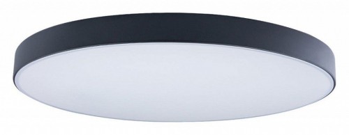 Потолочный светильник Loft IT Axel 10002/48 Black