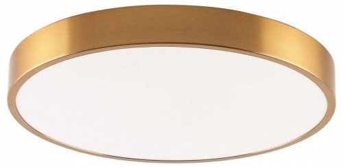 Потолочный светильник Zortes Tortty ZRS.02566.72