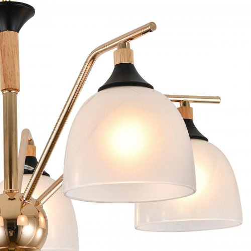 Подвесная люстра Reluce Escada Actinidia 2123/5P Подвесная люстра Reluce Escada Actinidia 2123/5P