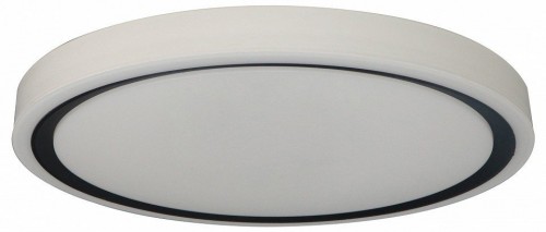 Потолочный светильник Zortes Bella ZRS.1201.04