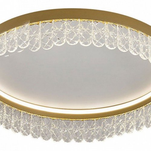 Потолочный светодиодный светильник F-Promo Lunetta 4186-1C
