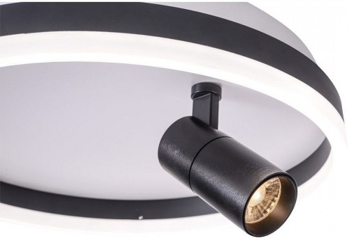 Потолочный светильник Zortes Raizy ZRS.1888.03