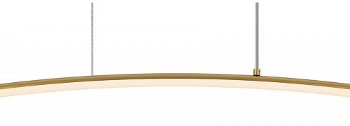 Подвесной светильник Maytoni Light Reflection MOD243PL-L18BSK