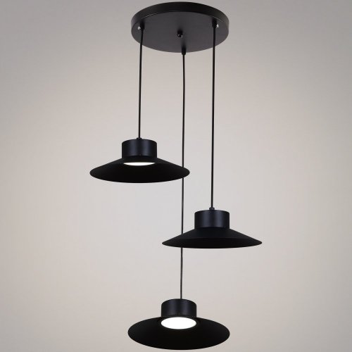 Подвесной светильник Reluce 40110-0.9-03A BK
