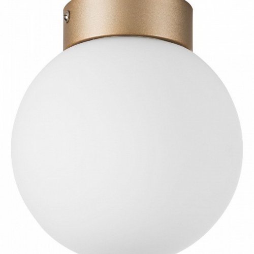 Настенно-потолочный светильник Lightstar Globo 812013