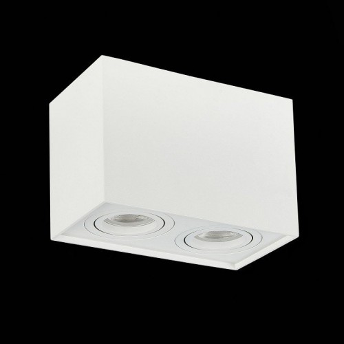 Потолочный светильник ST Luce ST109.507.02 Потолочный светильник ST Luce ST109.507.02