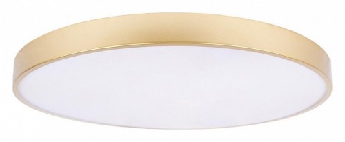 Потолочный светильник Loft IT Flims 10228/B Потолочный светильник Loft IT Flims 10228/B