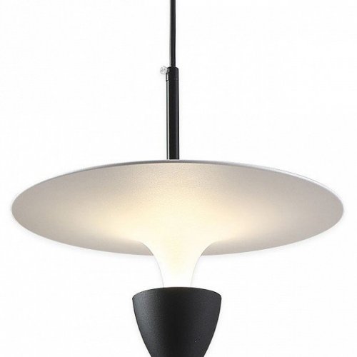 Подвесной светильник Lussole Irvine LSP-7079