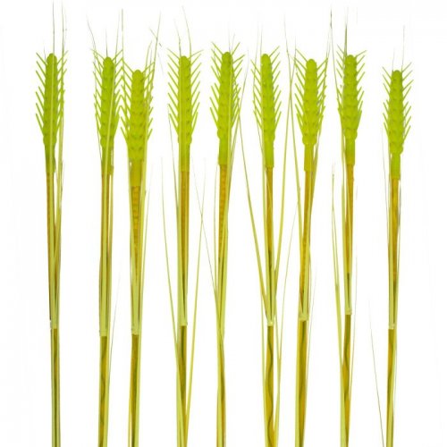 Грунтовый светильник Uniel USL-S-817/PT800 CORN SET10