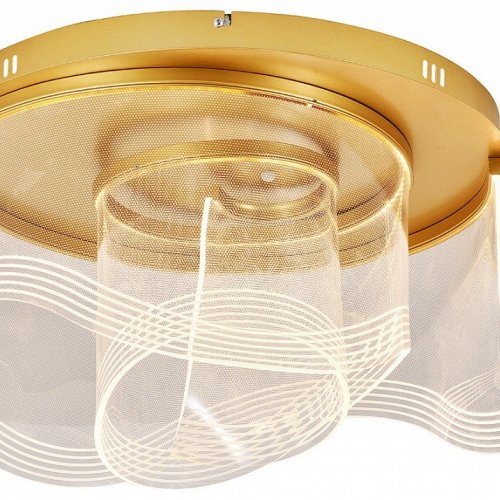 Накладной светильник Indigo Veletta 14029/3С Gold Накладной светильник Indigo Veletta 14029/3С Gold