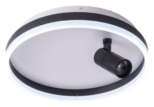 Потолочный светильник Zortes Raizy ZRS.1888.03