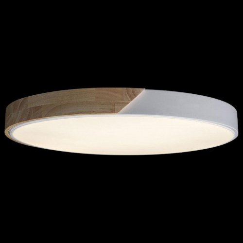 Потолочный светильник Loft IT Axel 10004/36 White