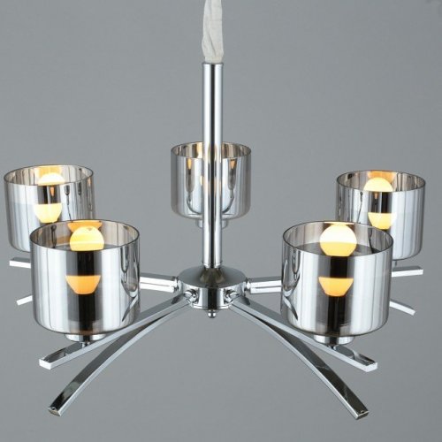 Подвесная люстра Omnilux Omnilux 558 OML-55803-05