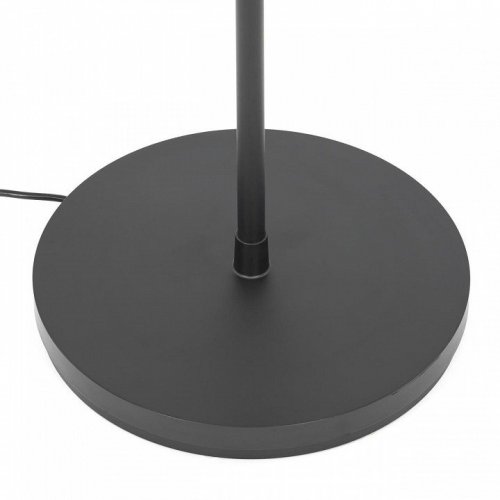Торшер Citilux Loong CL810031