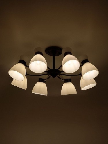 Потолочная люстра Aemilia 9185-308