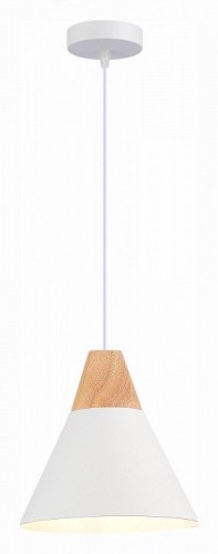 Подвесной светильник Evoluce MODICA SLE125103-01