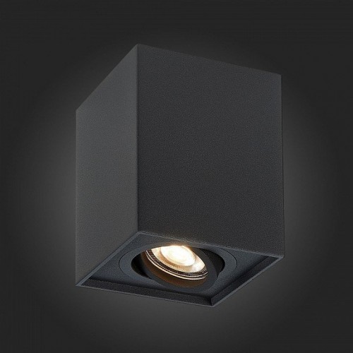 Потолочный светильник ST Luce ST109.407.01 Потолочный светильник ST Luce ST109.407.01