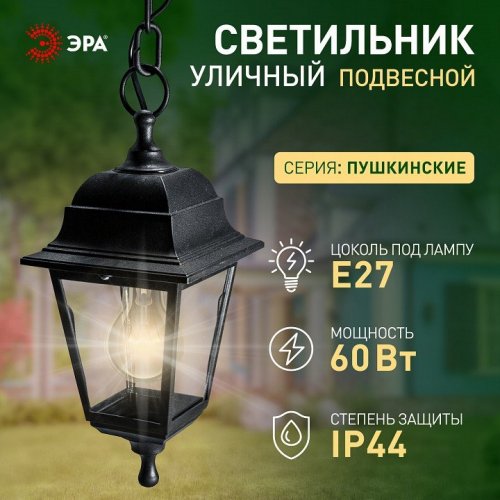 Подвесной светильник Эра  НСУ 04-60-001 черный