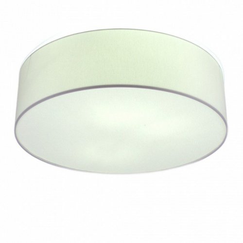 Потолочный светильник Lighthall Camerona 65 LH022005