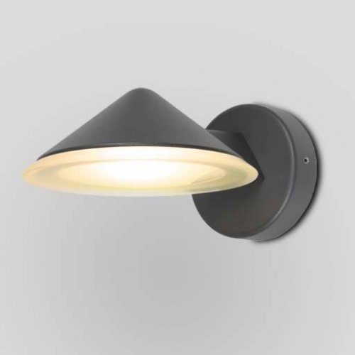 Настенный светильник уличный Oasis Light W1876