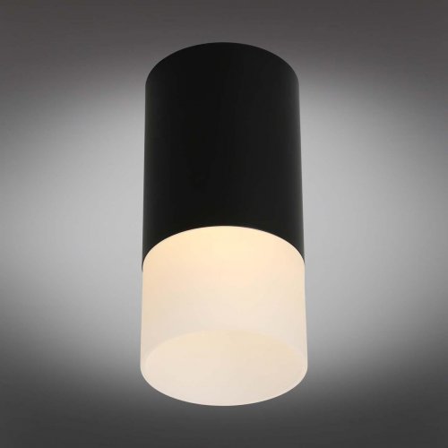 Потолочный светильник Omnilux Lucido OML-100619-01 Потолочный светильник Omnilux Lucido OML-100619-01