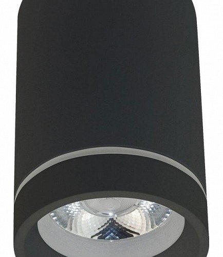 Потолочный светодиодный светильник Aployt Edda APL.0054.19.10 Потолочный светодиодный светильник Aployt Edda APL.0054.19.10