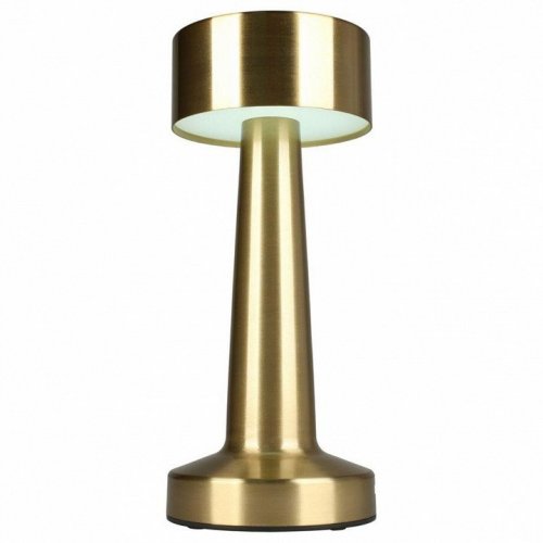 Интерьерная настольная лампа Aployt Perrayn APL.671.04.01