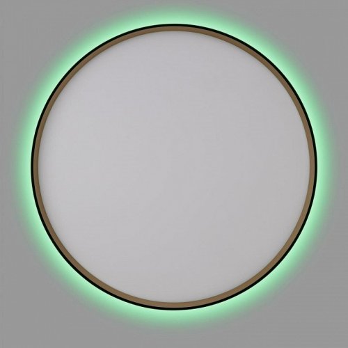 Накладной светильник Citilux ETALON CL750501R Накладной светильник Citilux ETALON CL750501R