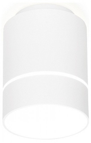 Потолочный светодиодный светильник Ambrella light Techno Spot TN255 Потолочный светодиодный светильник Ambrella light Techno Spot TN255