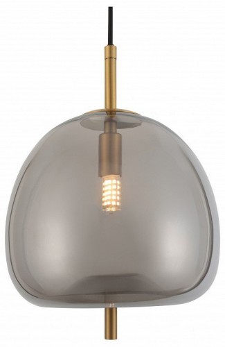 Подвесной светильник Rivoli Claire 6137-101 Б0061905