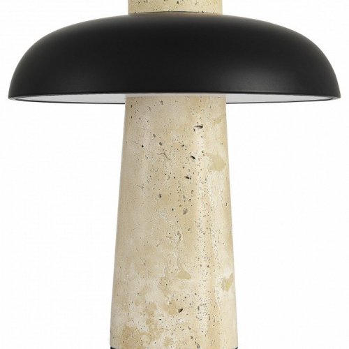 Настольная лампа декоративная ST-Luce Earthy SL1194.424.01