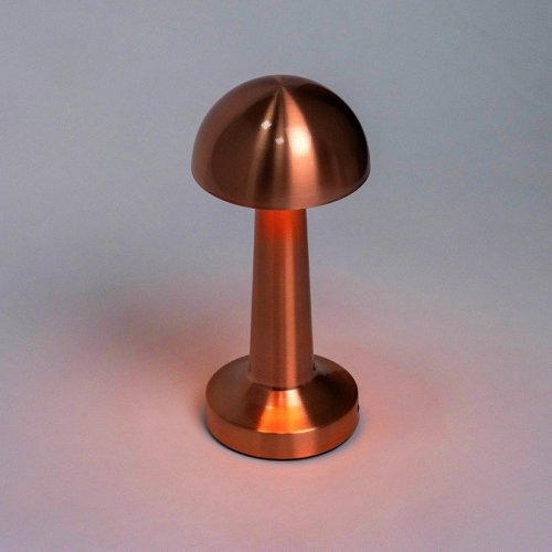 Настольная лампа декоративная Escada Evo 10257/L LED