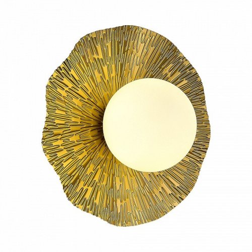 Потолочный светильник Evoluce SLE1196-301-01 Потолочный светильник Evoluce SLE1196-301-01