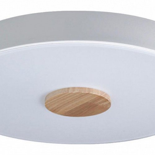 Потолочный светильник Loft IT Axel 10003/24 White