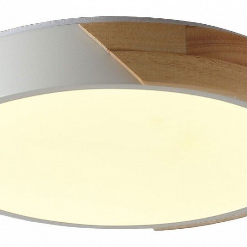 Потолочный светильник Zortes Alberro ZRS.01289.24