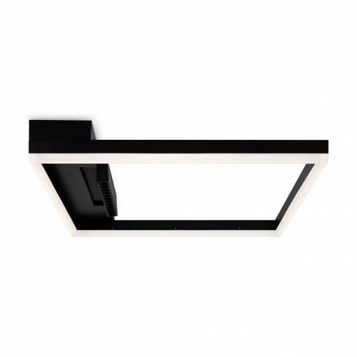 Потолочный светильник Freya Frame FR6084CL-L82B