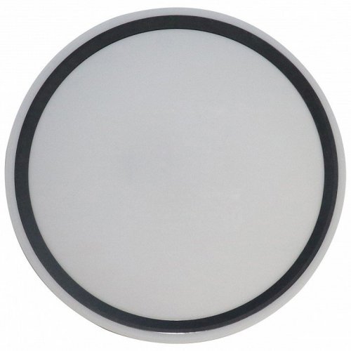 Потолочный светильник Bella ZRS.1201.07 Потолочный светильник Bella ZRS.1201.07