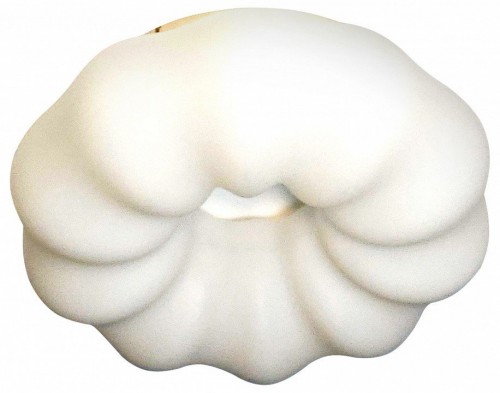 Потолочный светильник Zortes Soft ZRS.1118.2 Потолочный светильник Zortes Soft ZRS.1118.2