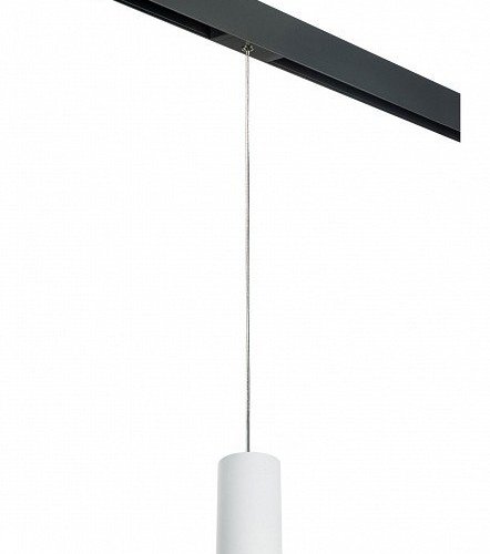 Подвесной светильник Lightstar Rullo PRORP4863437