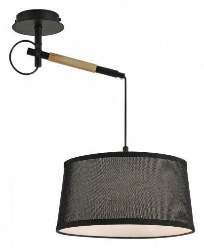 Подвесной светильник F-Promo Eureka 3006-1P