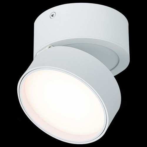 Светодиодный спот ST Luce ST651.532.14 Светодиодный спот ST Luce ST651.532.14