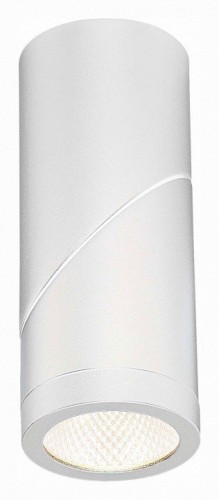 Светодиодный спот ST Luce ST650.542.10 Светодиодный спот ST Luce ST650.542.10